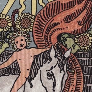 Meet your Posher, Carter